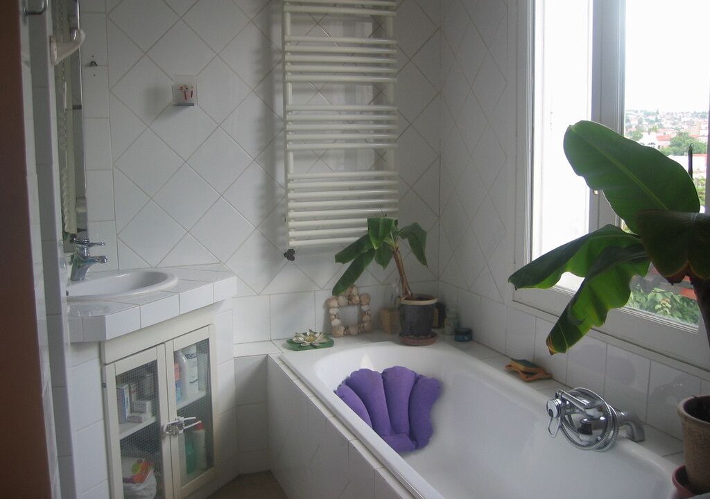 Photo of Bathroom in Cachan