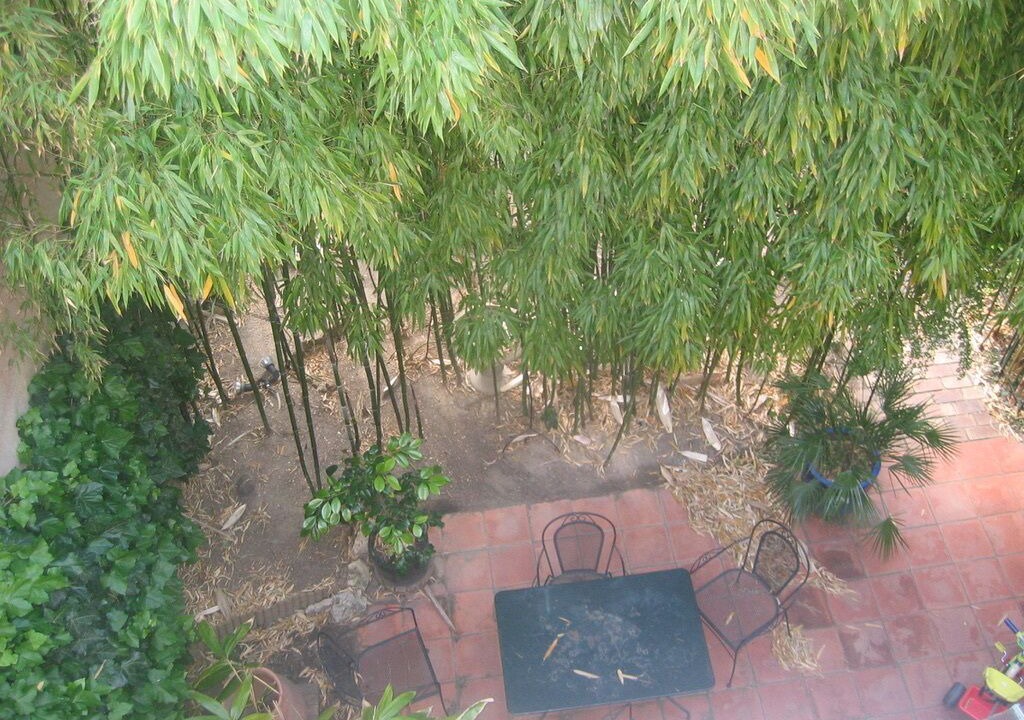 Photo of Outdoor in Cachan