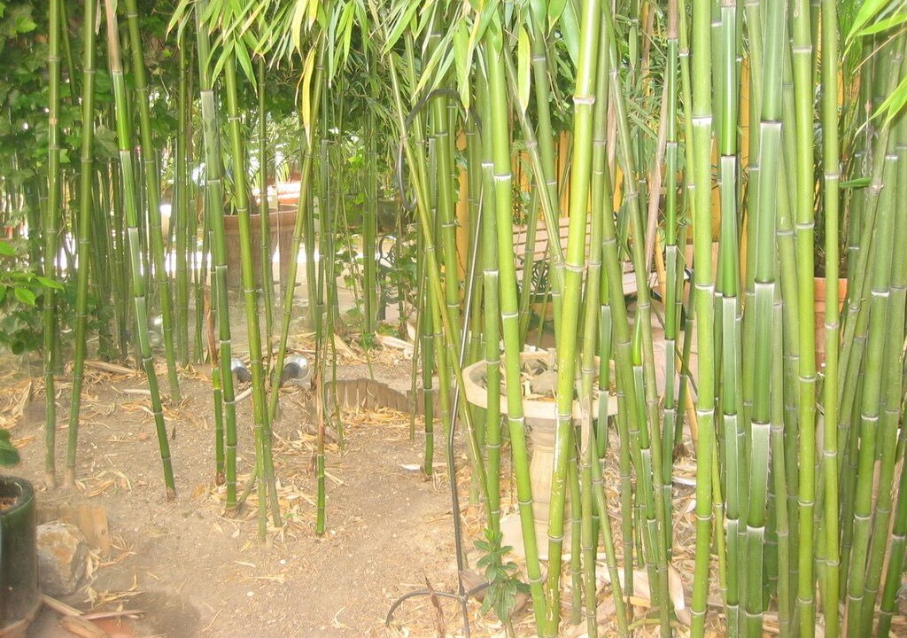 Photo of Outdoor in Cachan