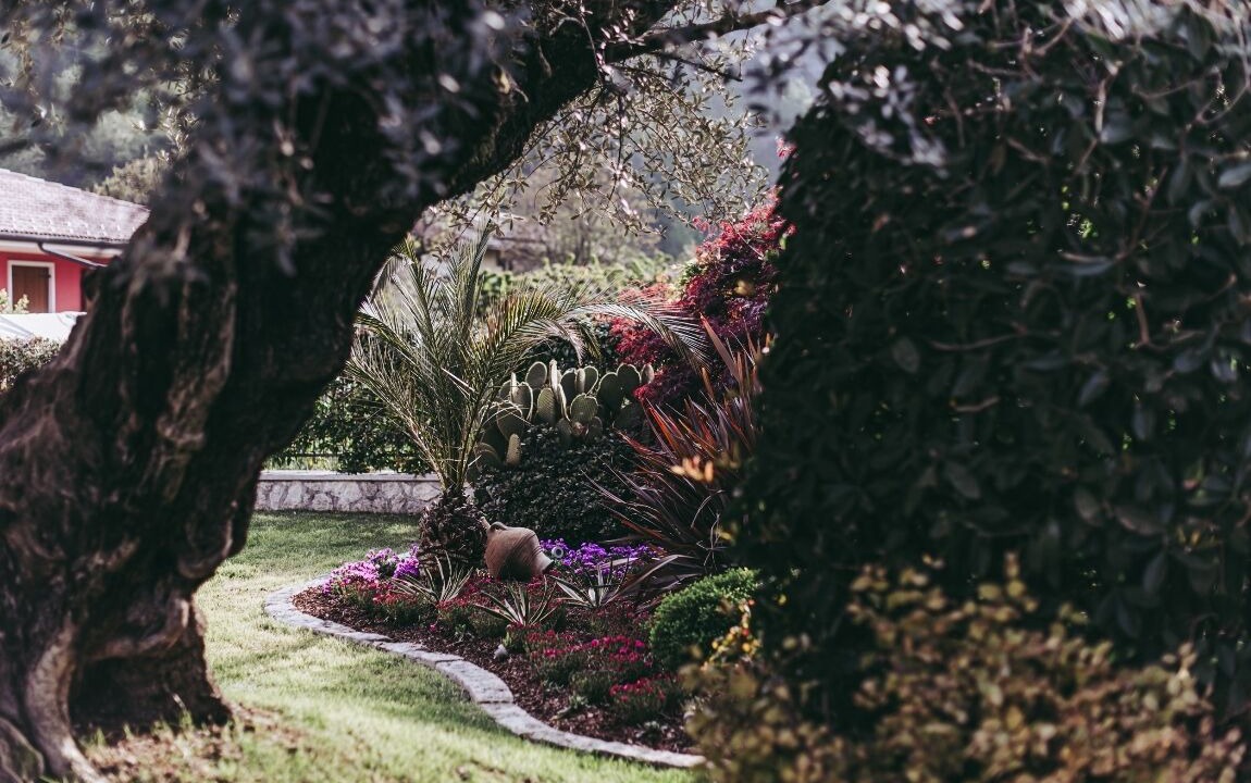 Photo of Outdoor in Badia Calavena