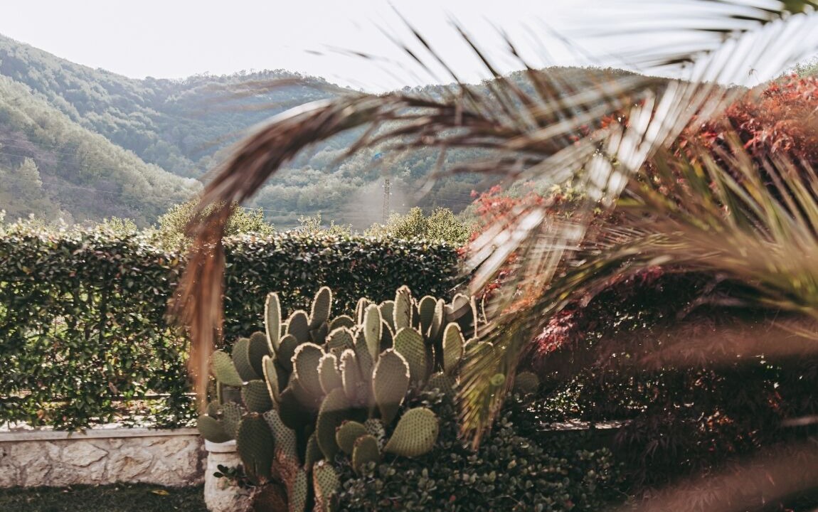 Photo of Outdoor in Badia Calavena