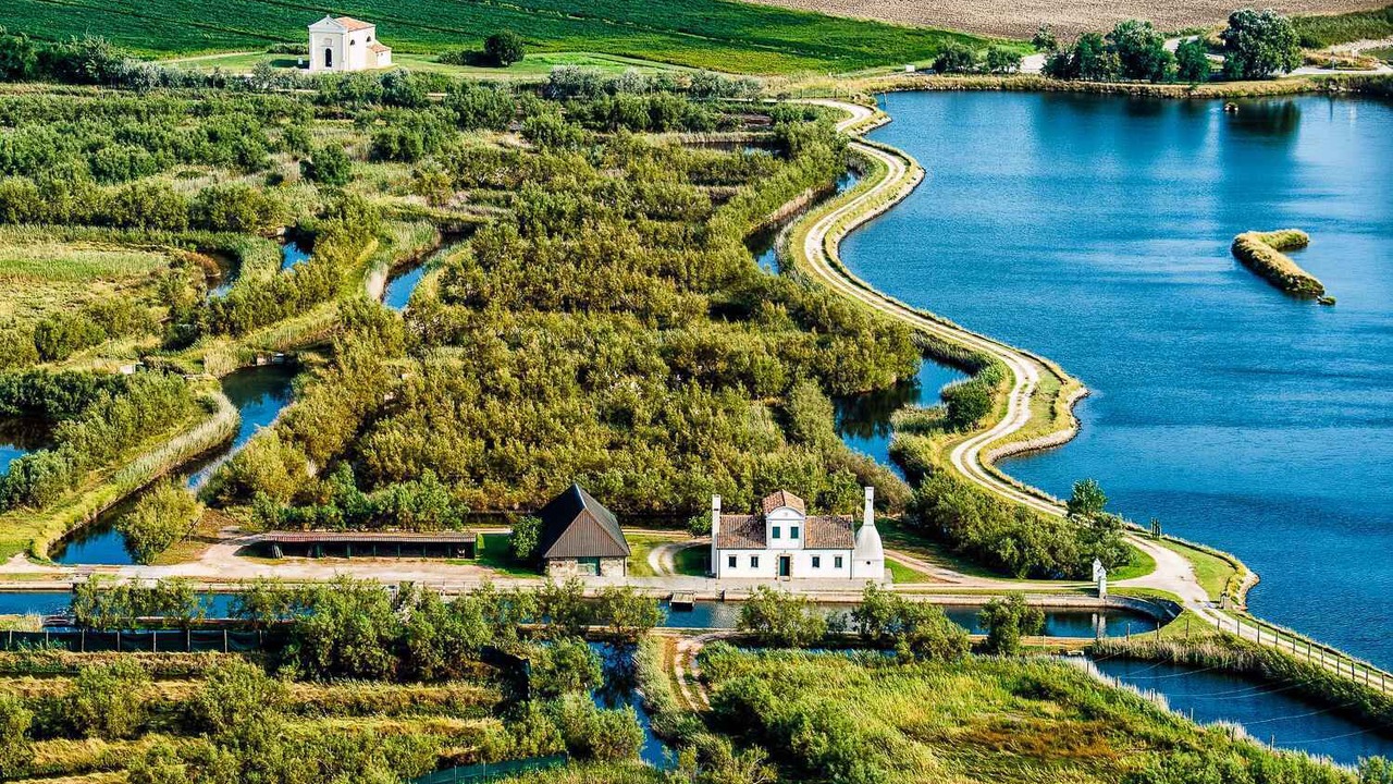 Photo of Outdoor in Rosapineta