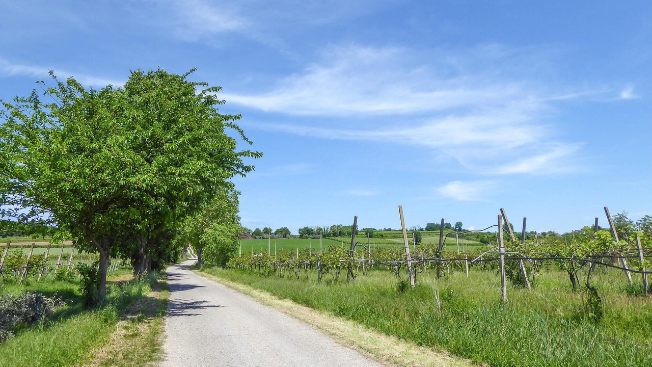 Photo of Others in Marano di Valpolicella