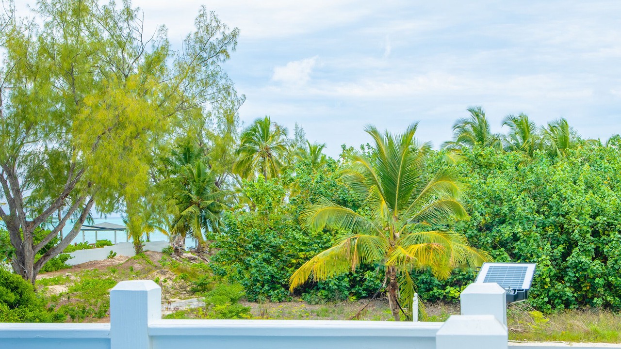 Photo of Outdoor in George Town