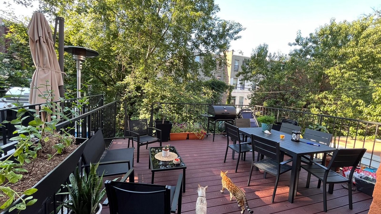 Photo of Outdoor in Bedford-Stuyvesant