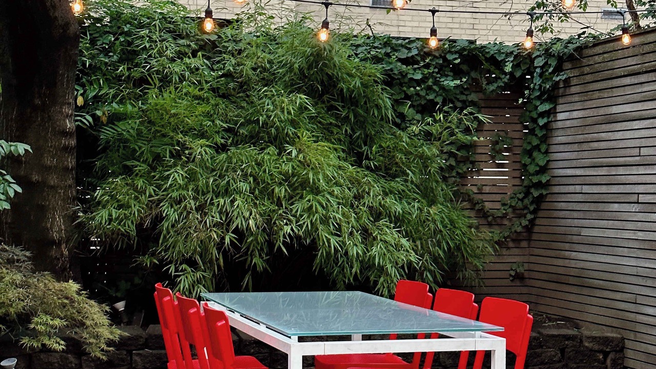 Photo of Outdoor in Turtle Bay