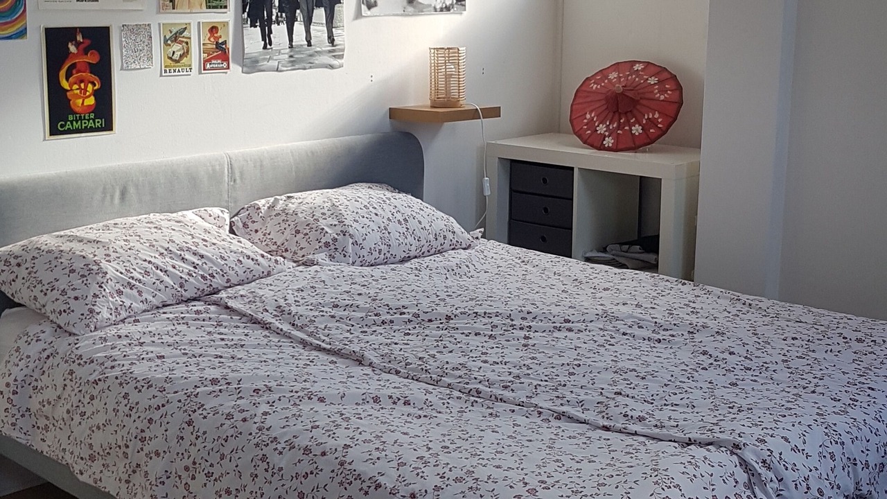 Photo of Bedroom in Cachan