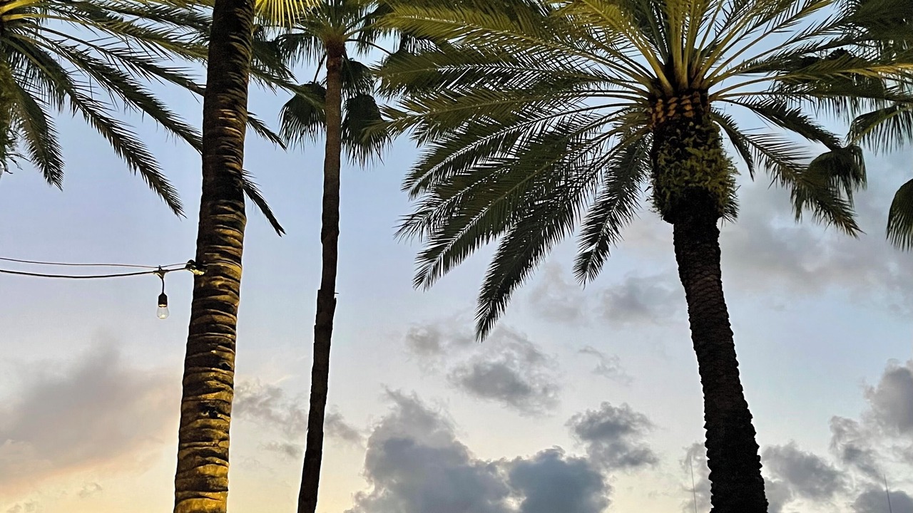 Photo of Others in Paradise Island