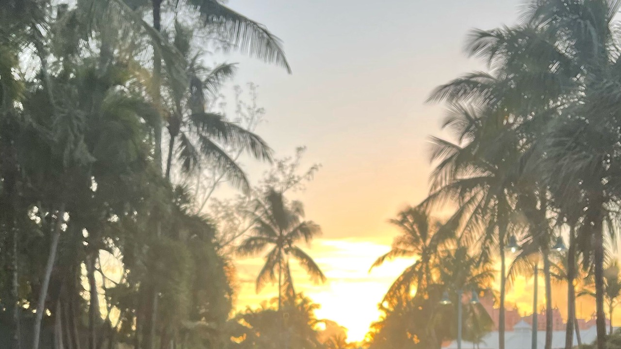 Photo of Others in Paradise Island