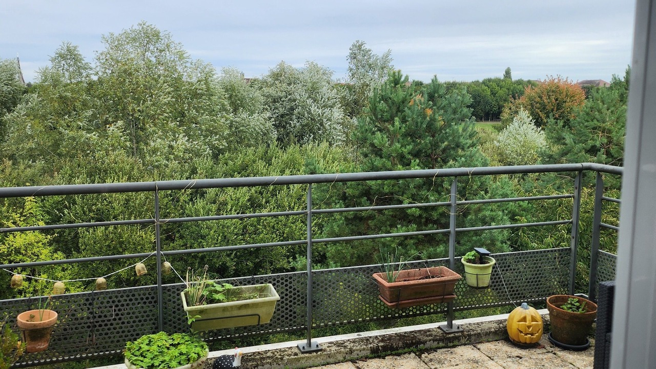 Photo of Patio Balcony in Bussy-Saint-Georges