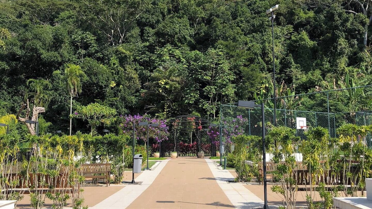 Photo of Outdoor in Camorim