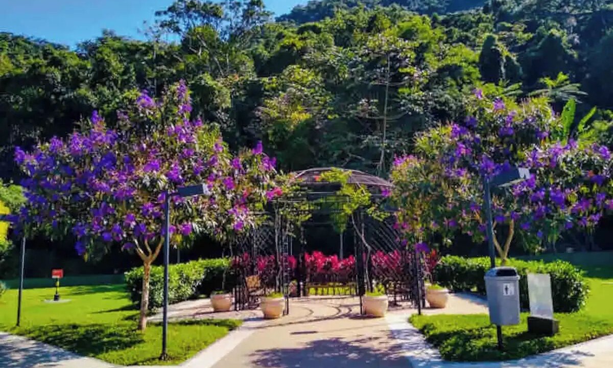Photo of Outdoor in Camorim
