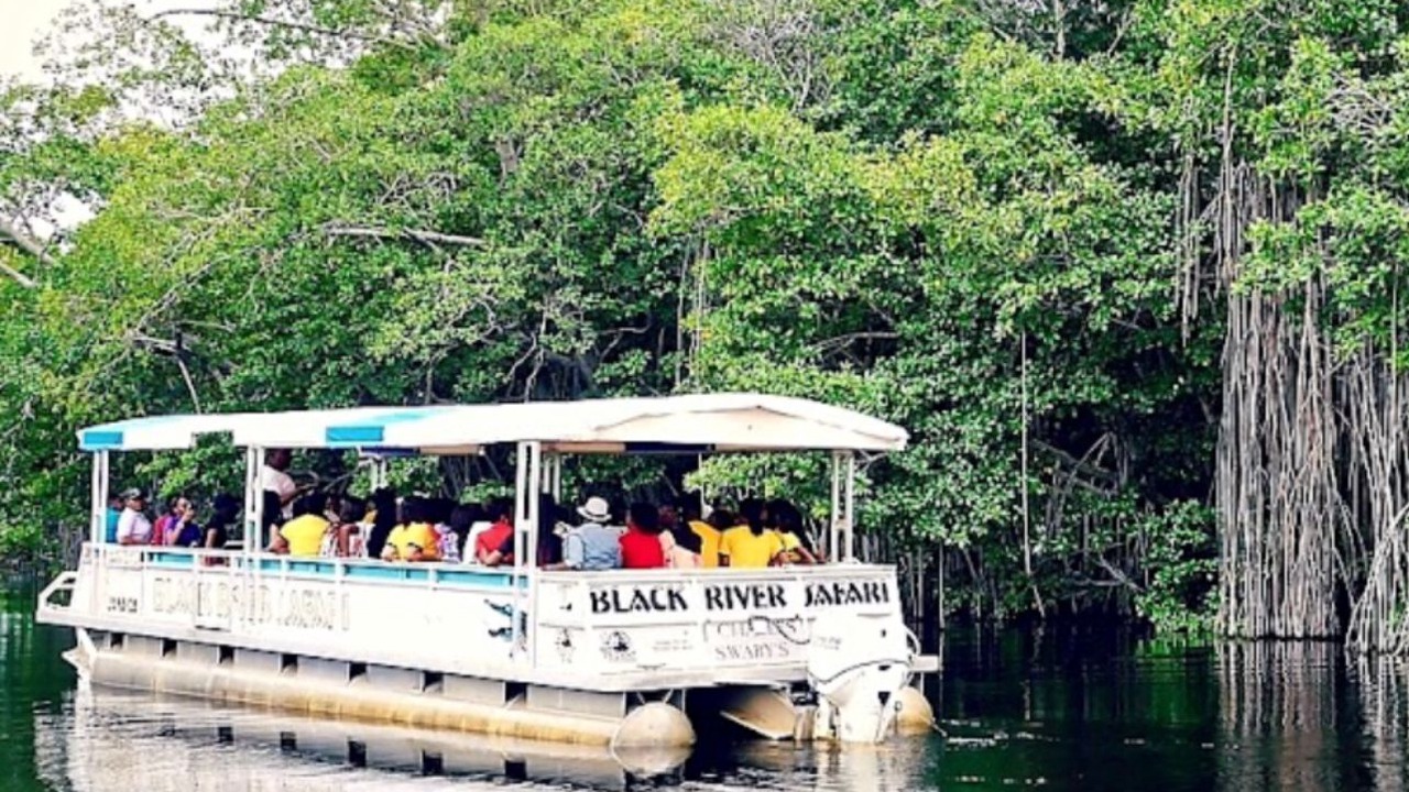 Photo of Outdoor in Black River
