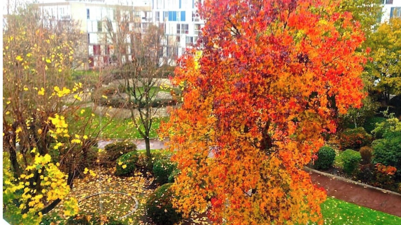 Photo of Outdoor in Pierrefitte-sur-Seine