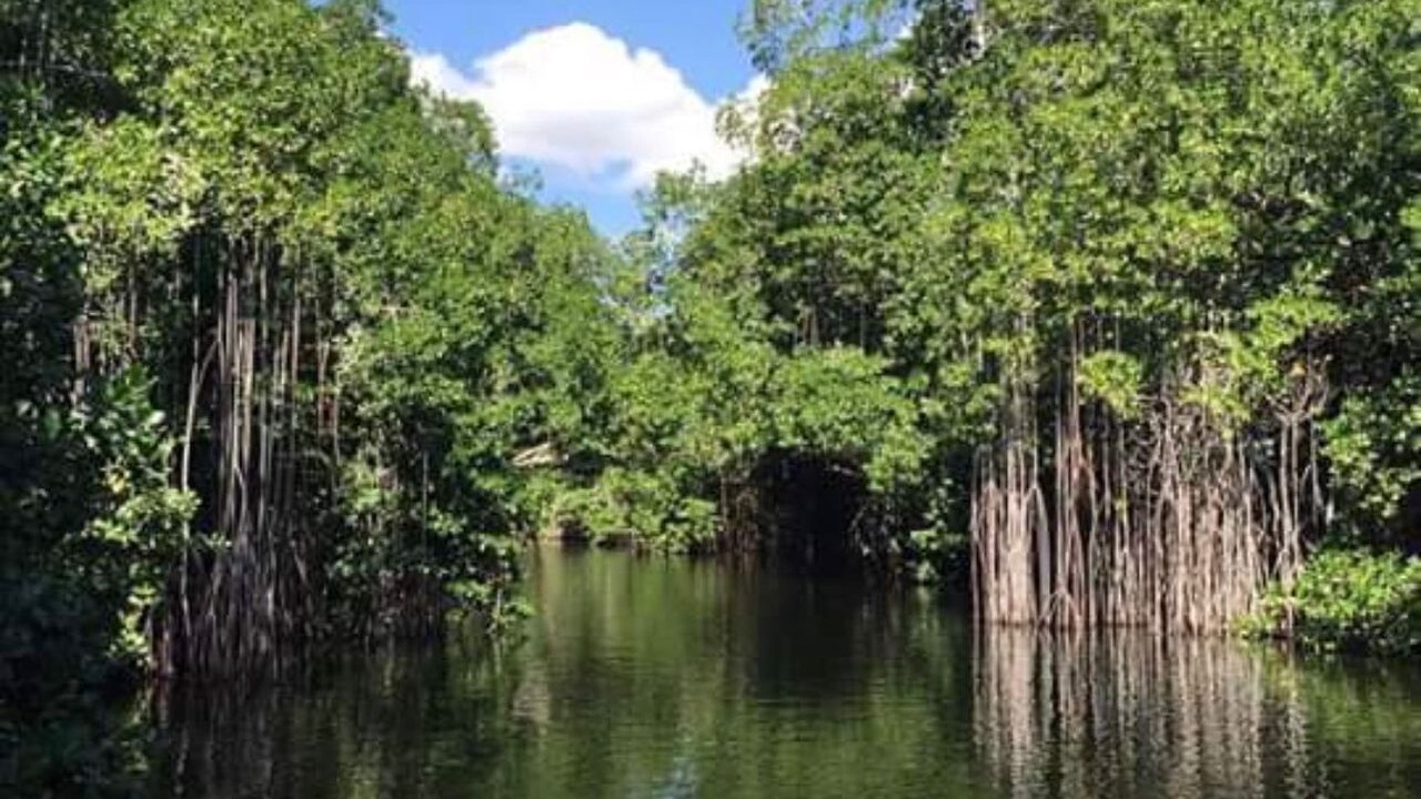 Photo of Outdoor in Black River