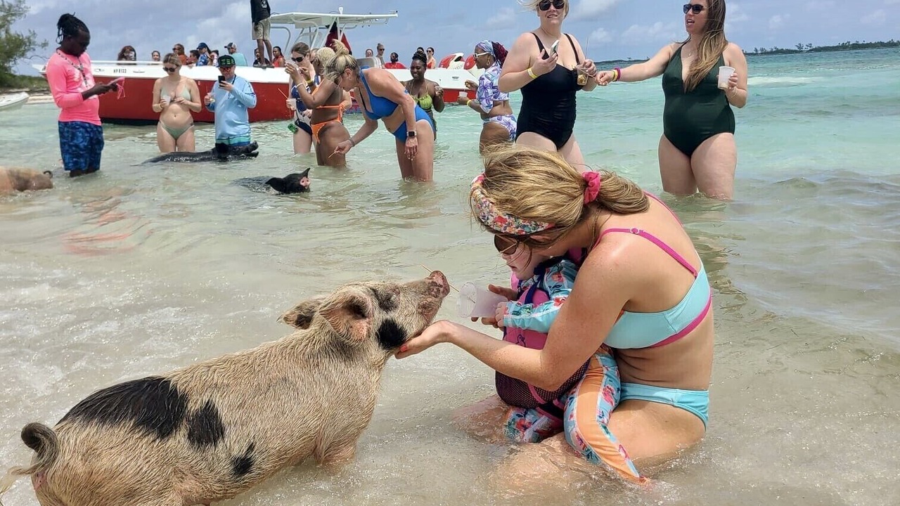 Photo of Others in Nassau