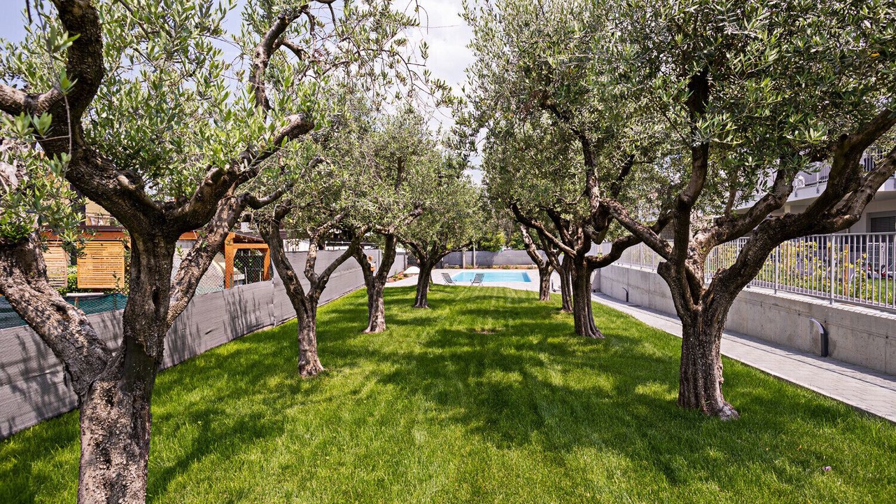 Photo of Outdoor in Lazise