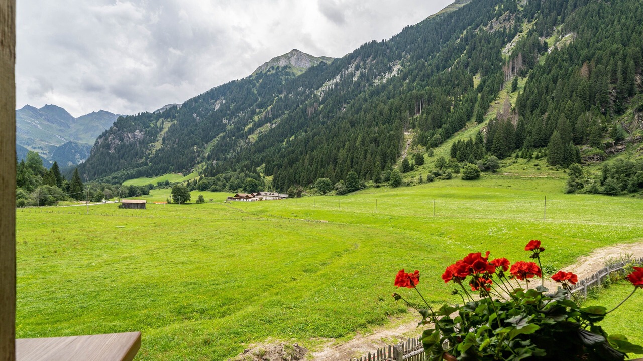 Photo of Outdoor in Racines