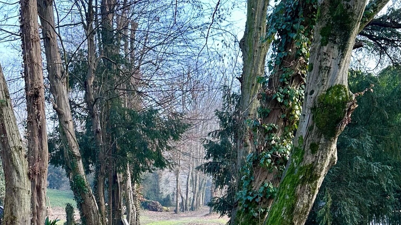 Photo of Outdoor in Sant'Agostino