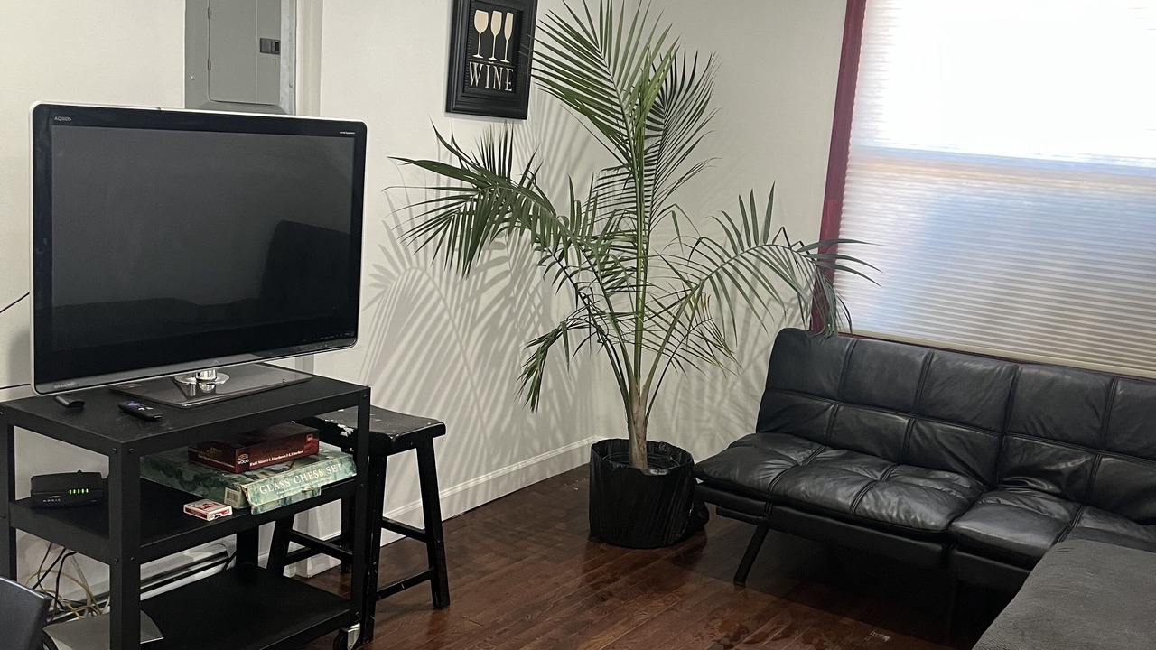 Photo of Livingroom in Queens