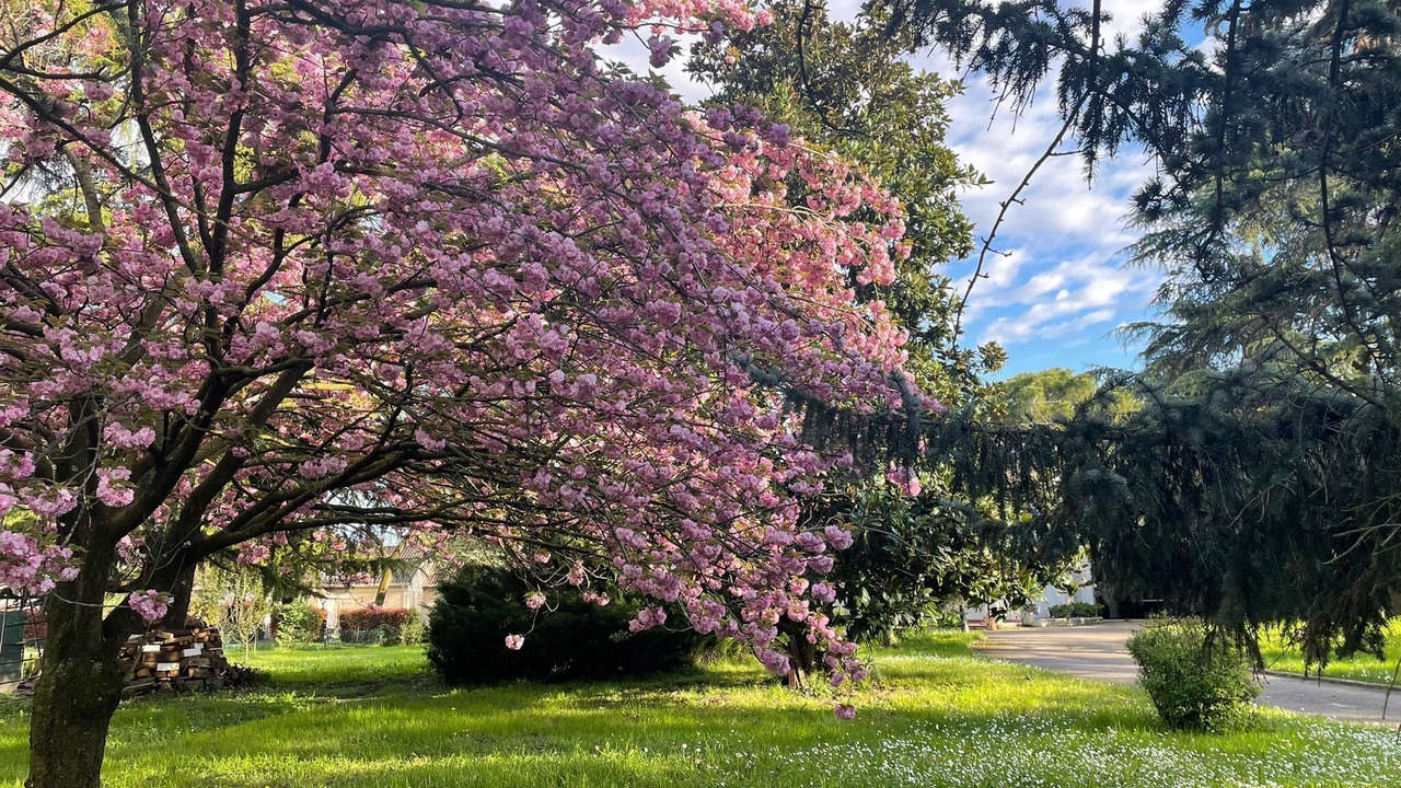Photo of Outdoor in Padova