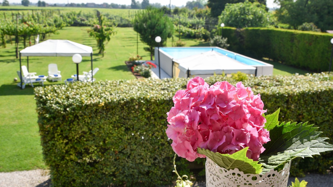 Photo of Outdoor in Cimadolmo