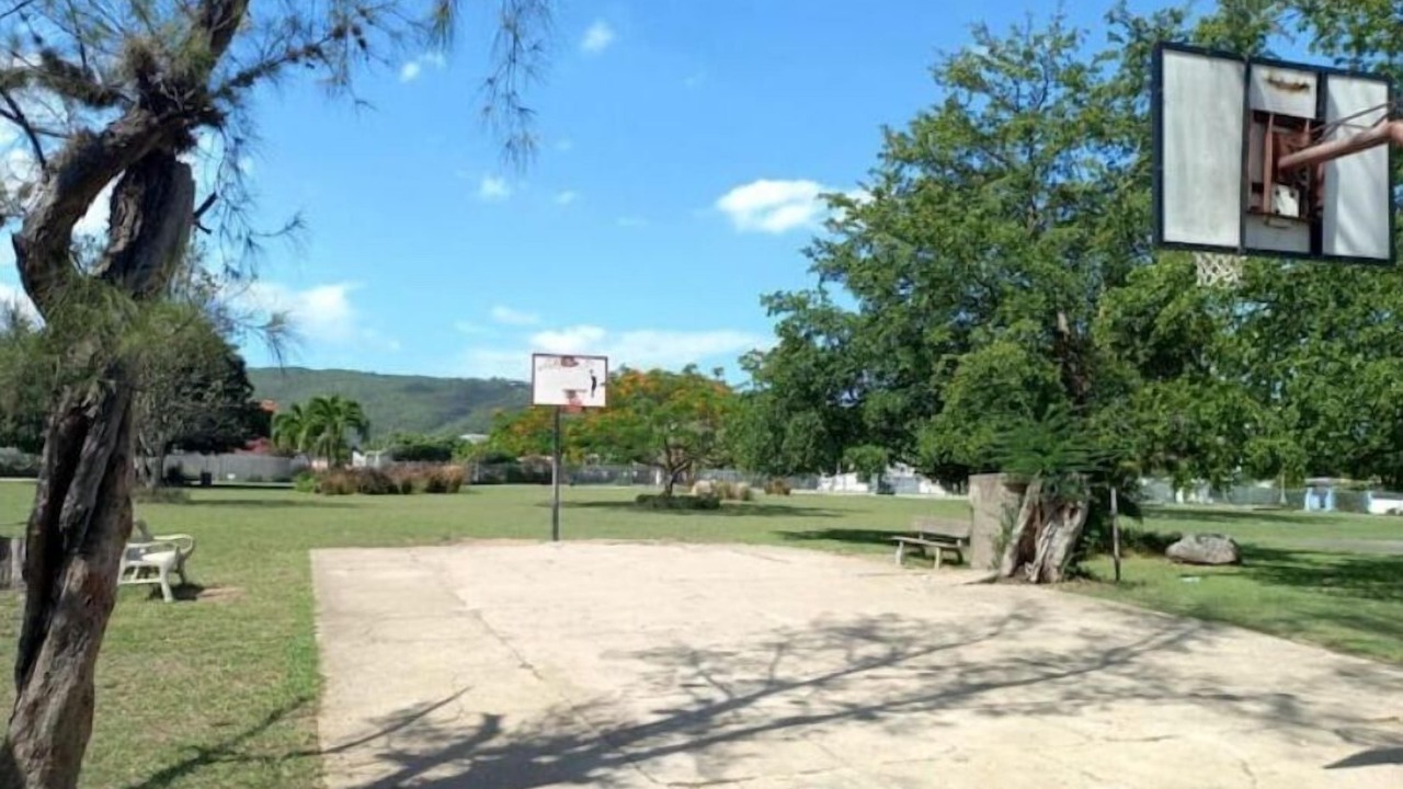 Photo of Others in Mona Heights