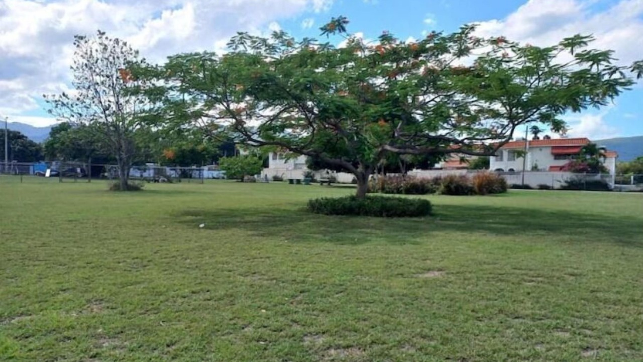 Photo of Outdoor in Mona Heights