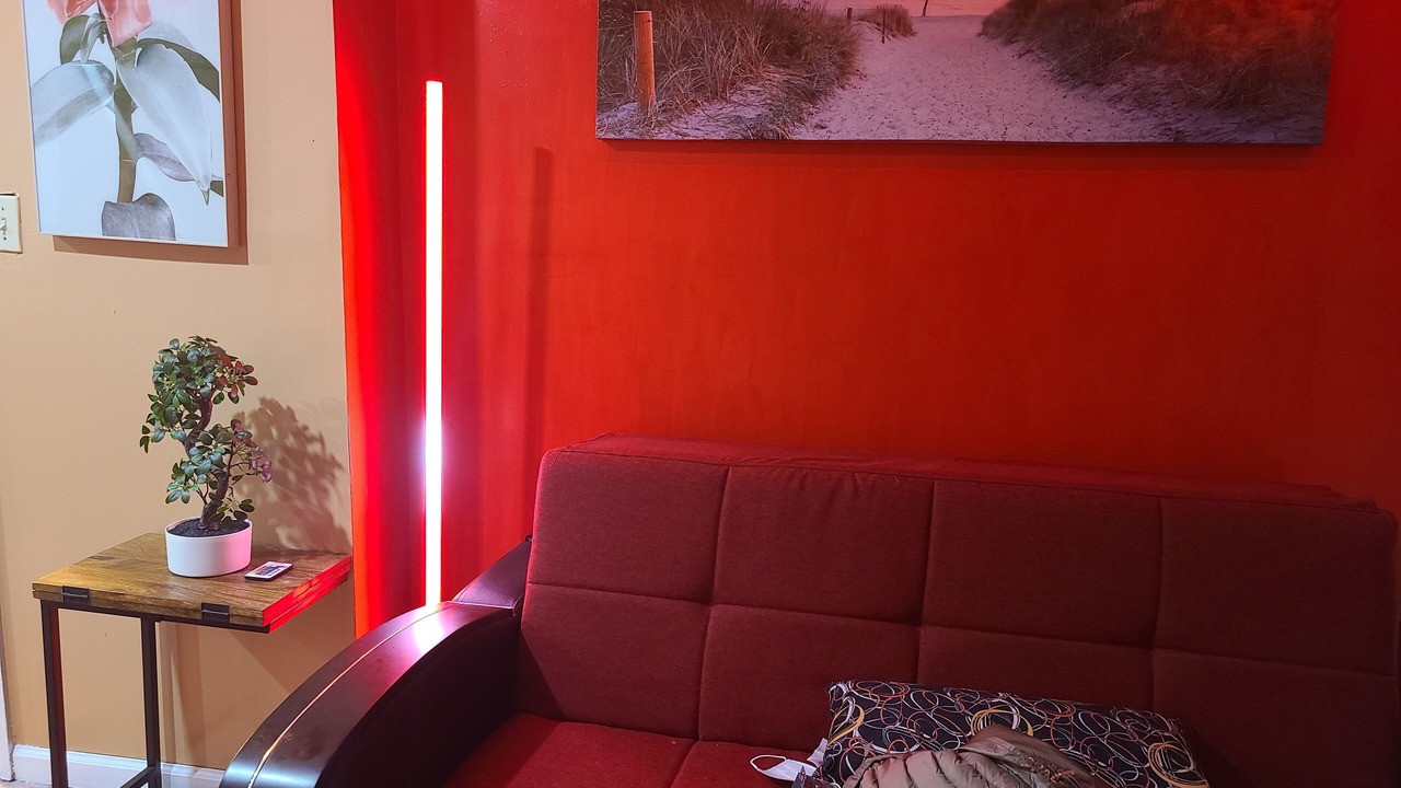 Photo of Livingroom in Canarsie