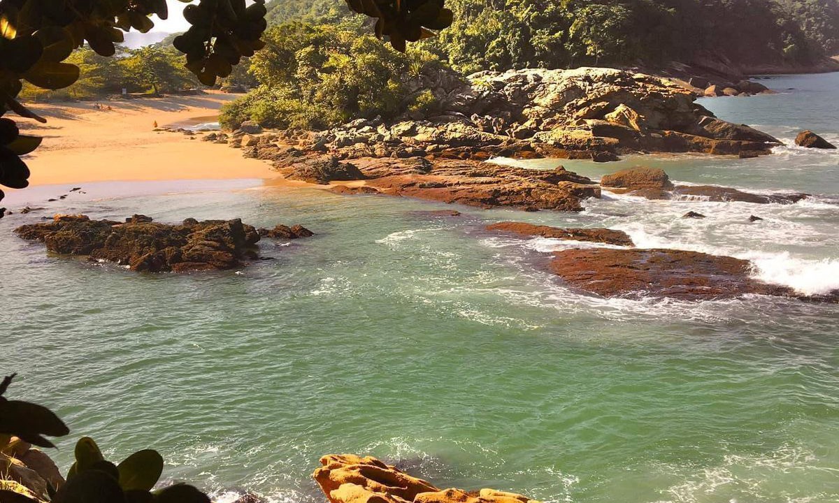 Photo of Others in Trindade
