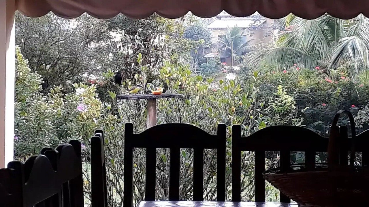 Photo of Outdoor in Penedo
