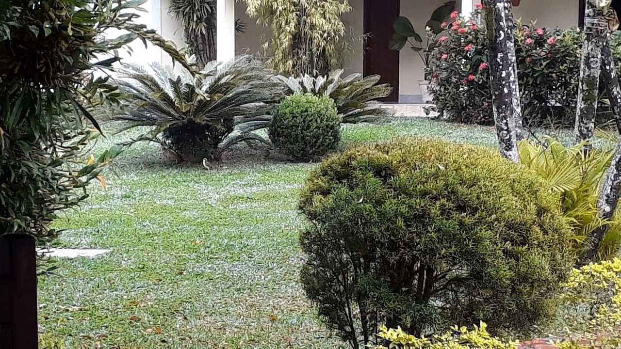 Photo of Outdoor in Penedo
