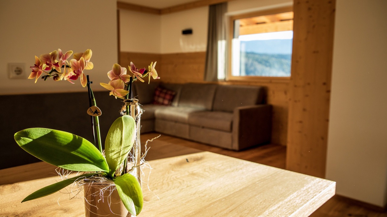 Photo of Livingroom in Terento
