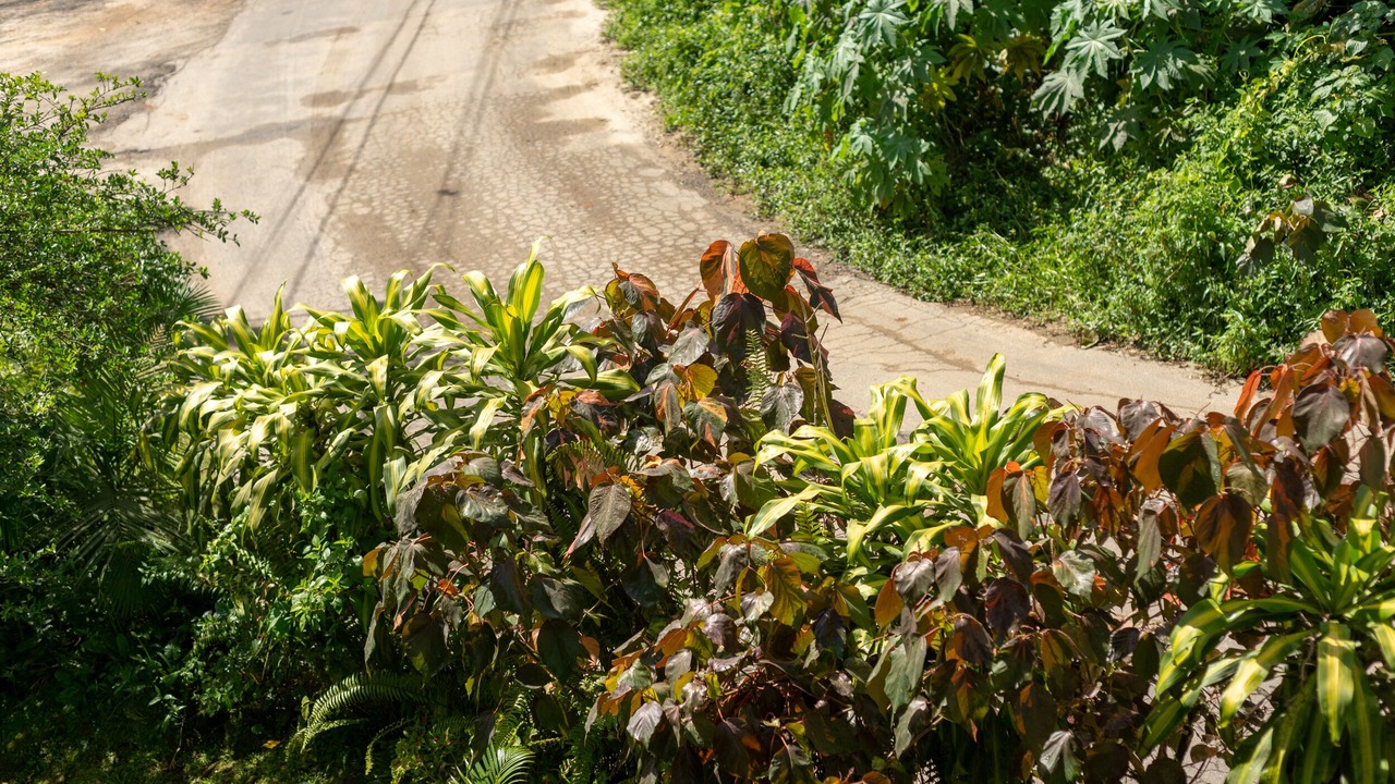 Photo of Outdoor in Ponte Branca