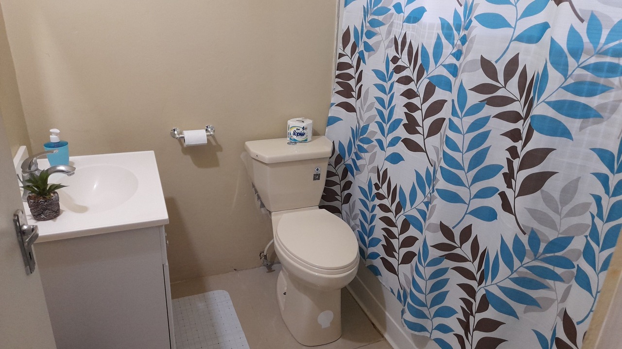 Photo of Bathroom in Lacovia