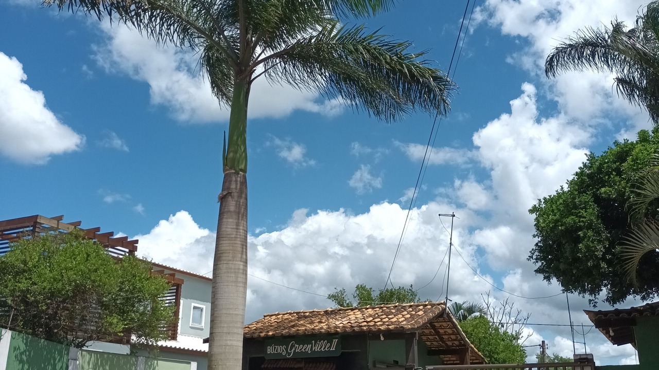 Photo of Outdoor in Rasa