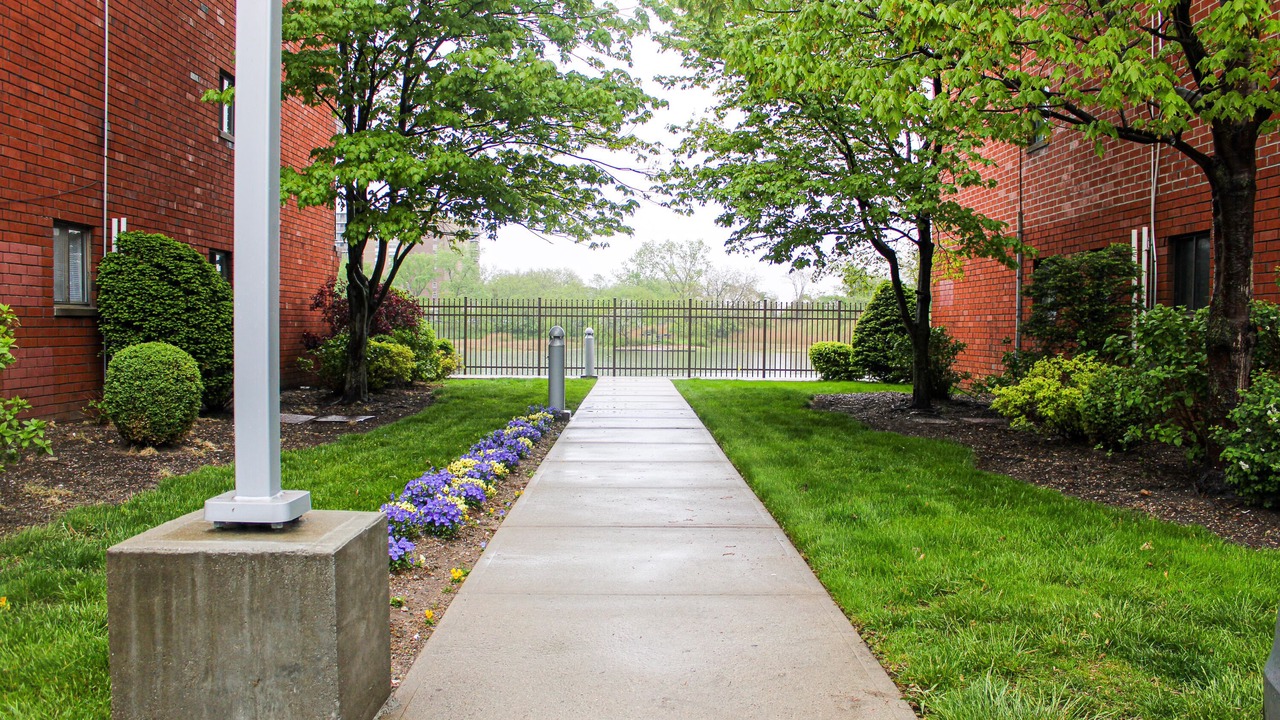 Photo of Outdoor in East New York