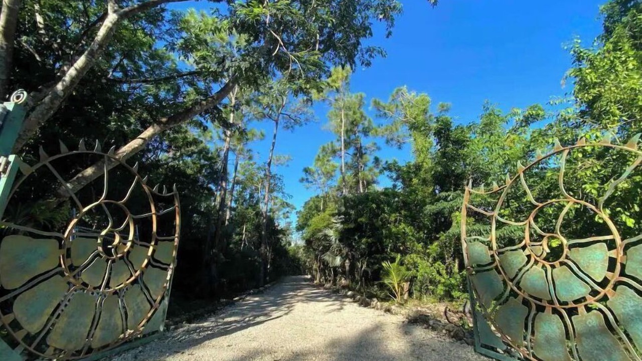 Photo of Outdoor in Adelaide
