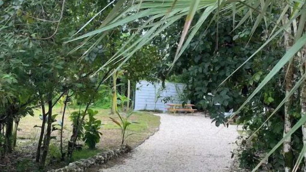 Photo of Outdoor in Adelaide