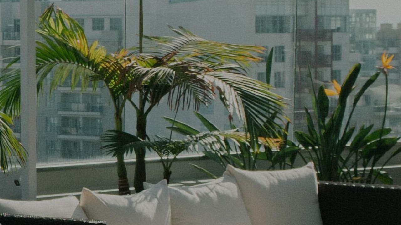 Photo of Outdoor in Kips Bay