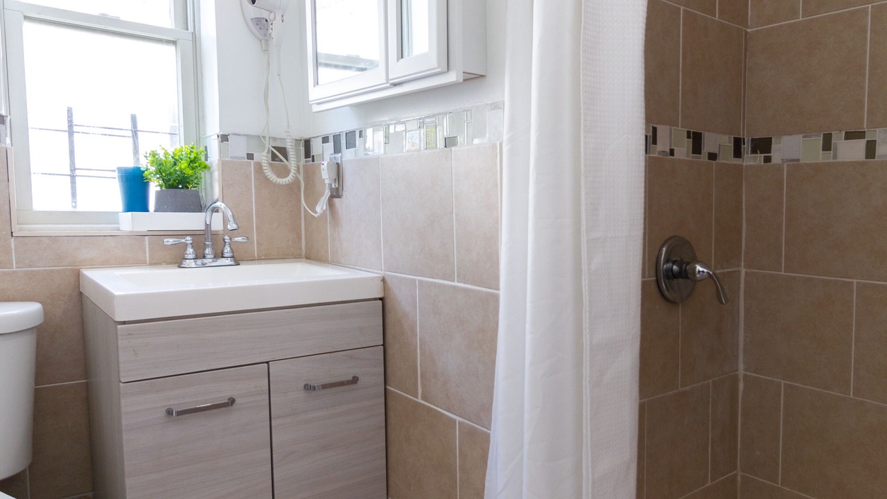 Photo of Bathroom in East New York