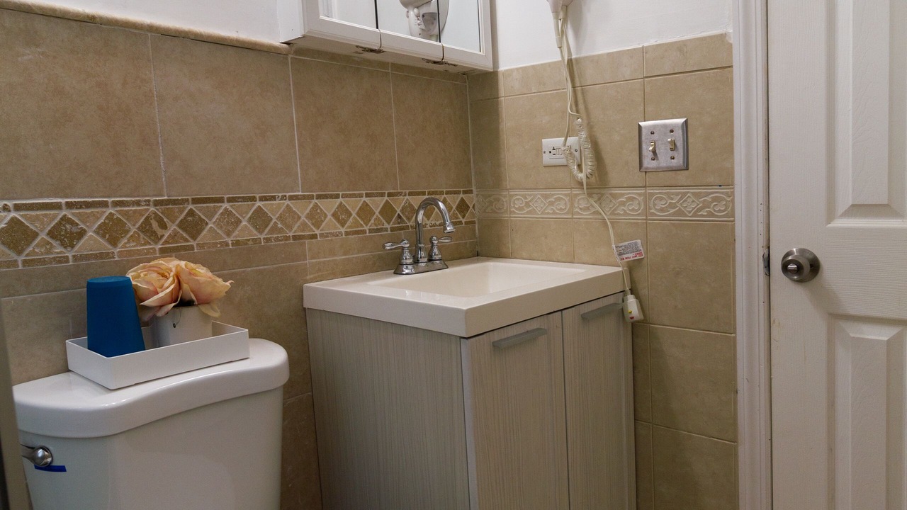 Photo of Bathroom in East New York