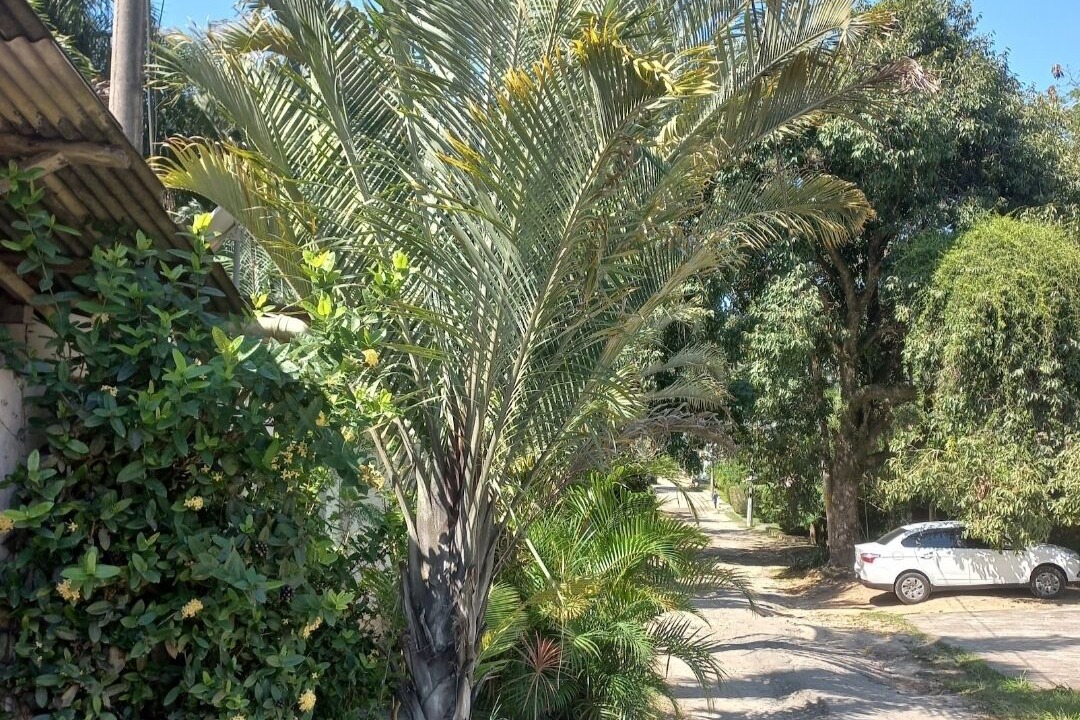 Photo of Outdoor in Guaratiba