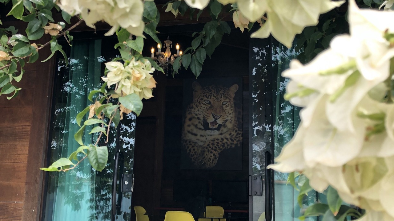 Photo of Outdoor in Rasa