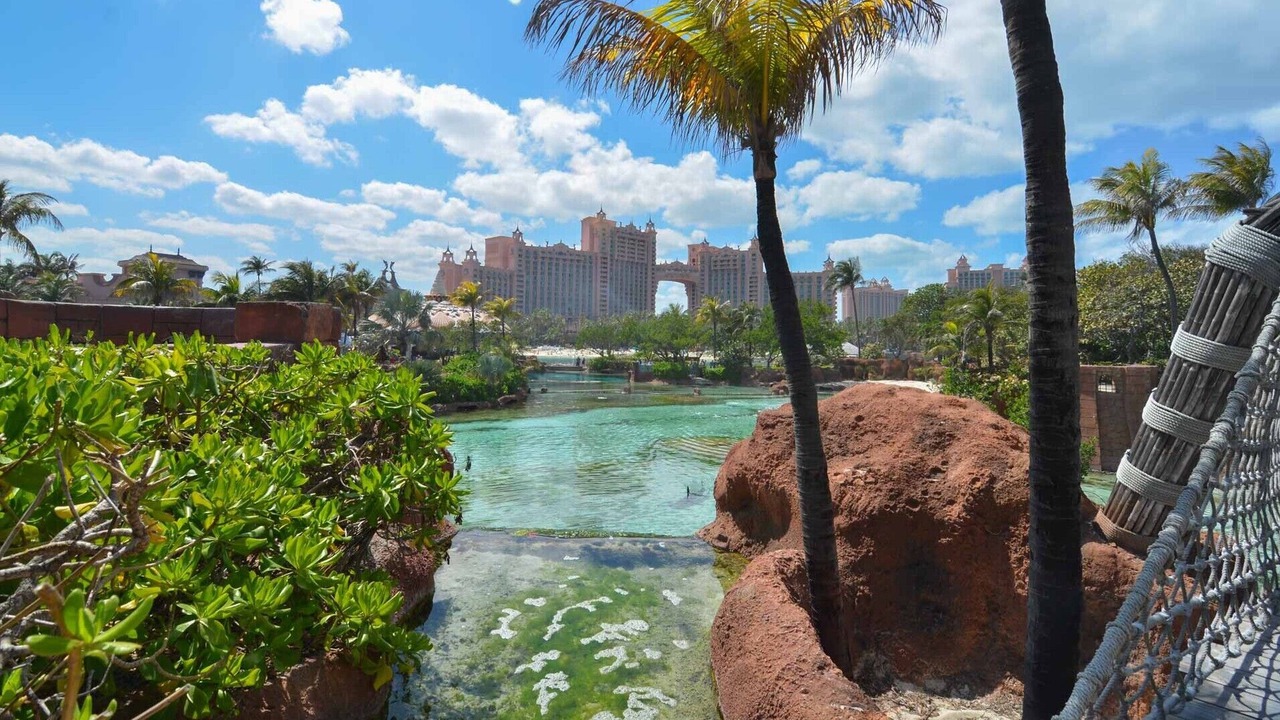 Photo of Outdoor in Paradise Island