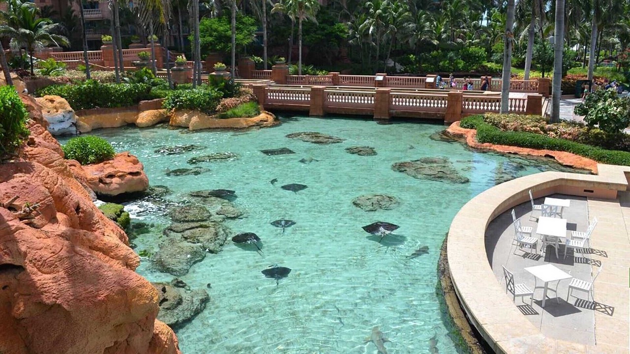 Photo of Outdoor in Paradise Island