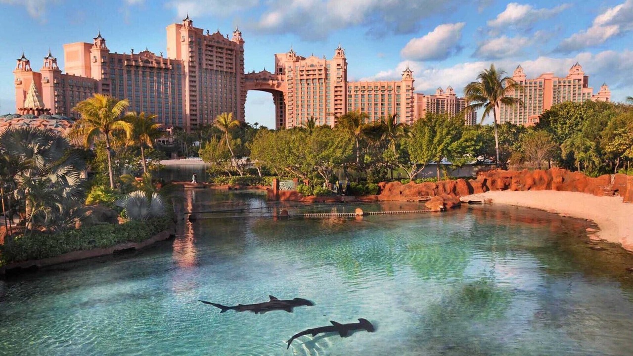 Photo of Outdoor in Paradise Island