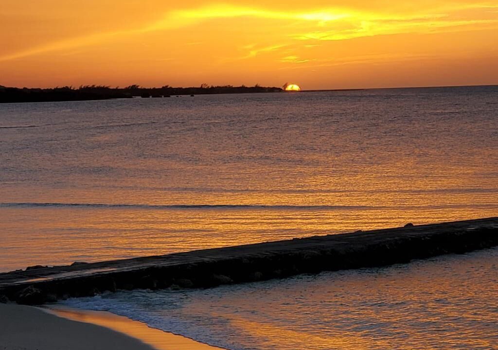 Photo of Others in St. Ann's Bay