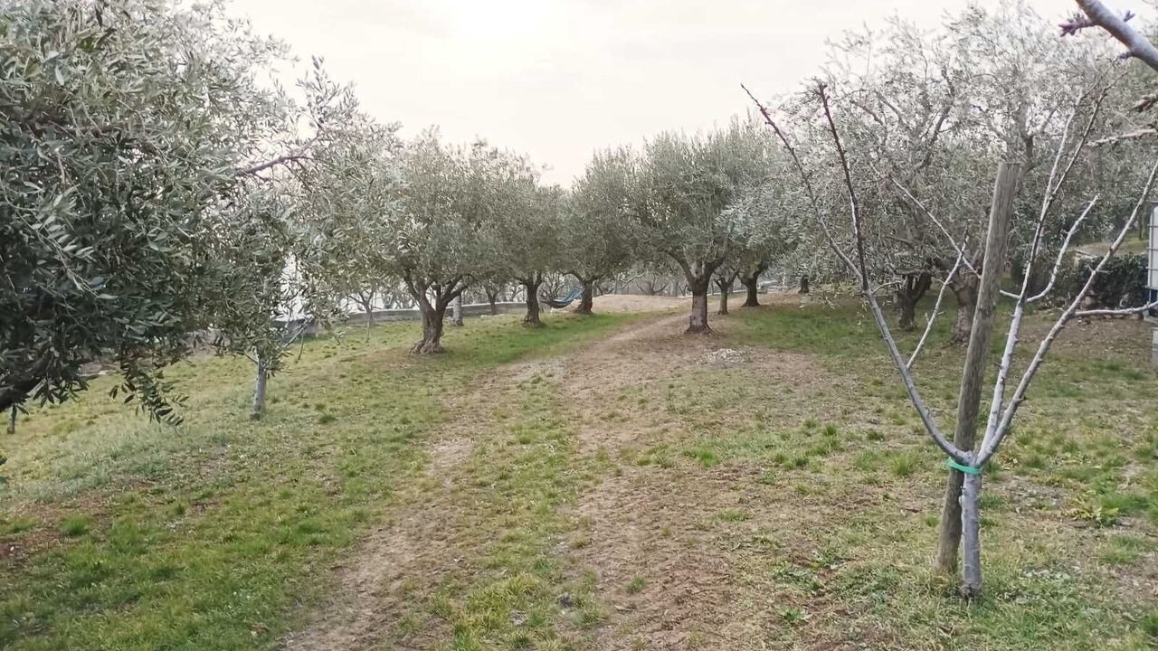 Photo of Outdoor in Sant'Ambrogio di Valpolicella