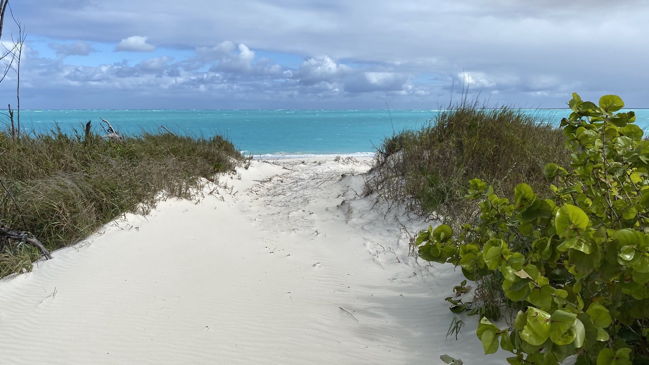 Photo of Others in Treasure Cay